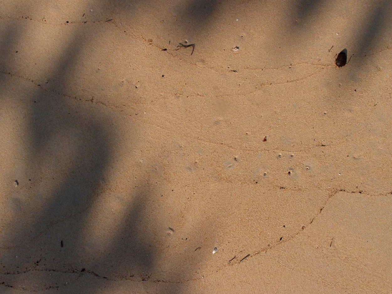 2015-09-27 Boot & Sand (Komposition) (Foto)